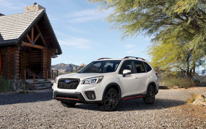 the 2019 subaru forester: the suv for all you love