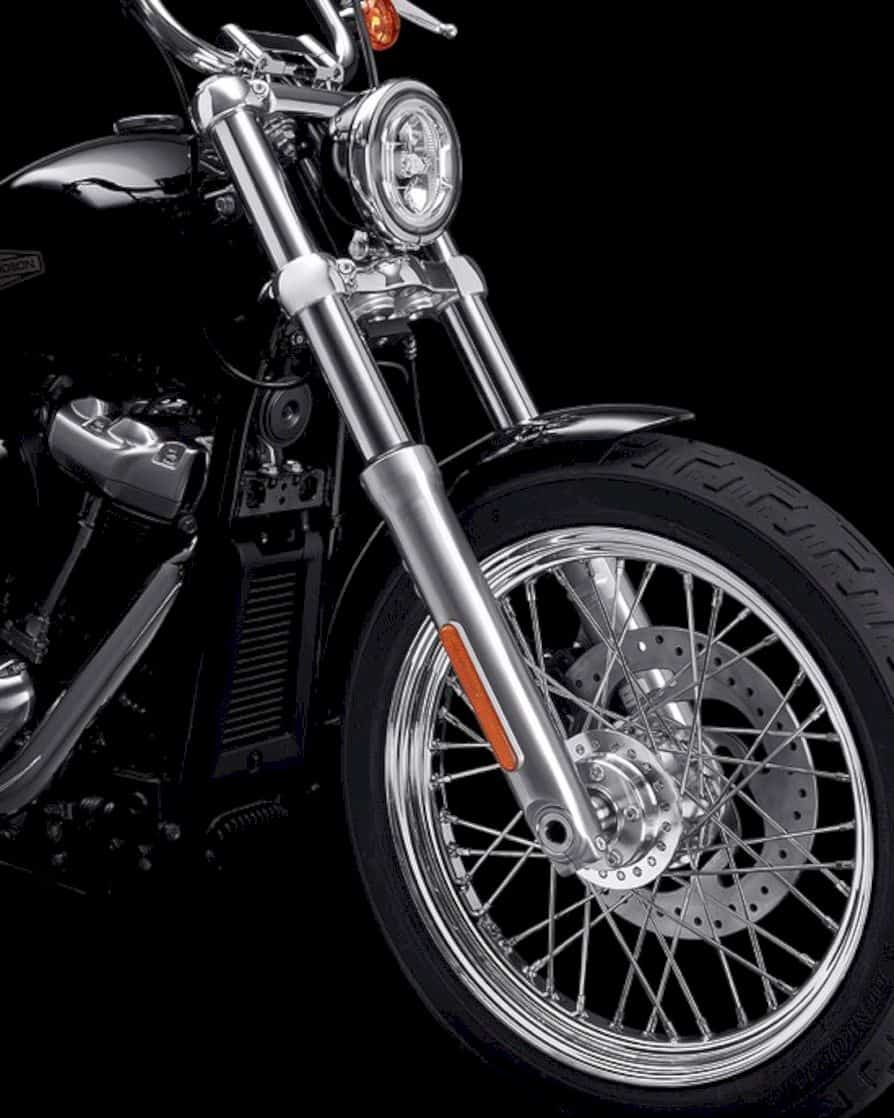 2020 Harley Davidson Softail Standard 2