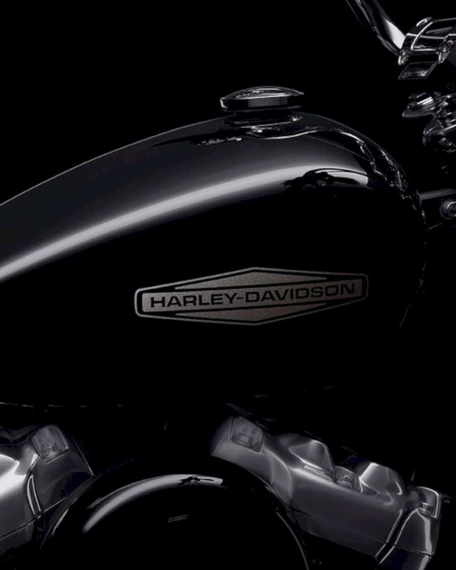 2020 Harley Davidson Softail Standard 3