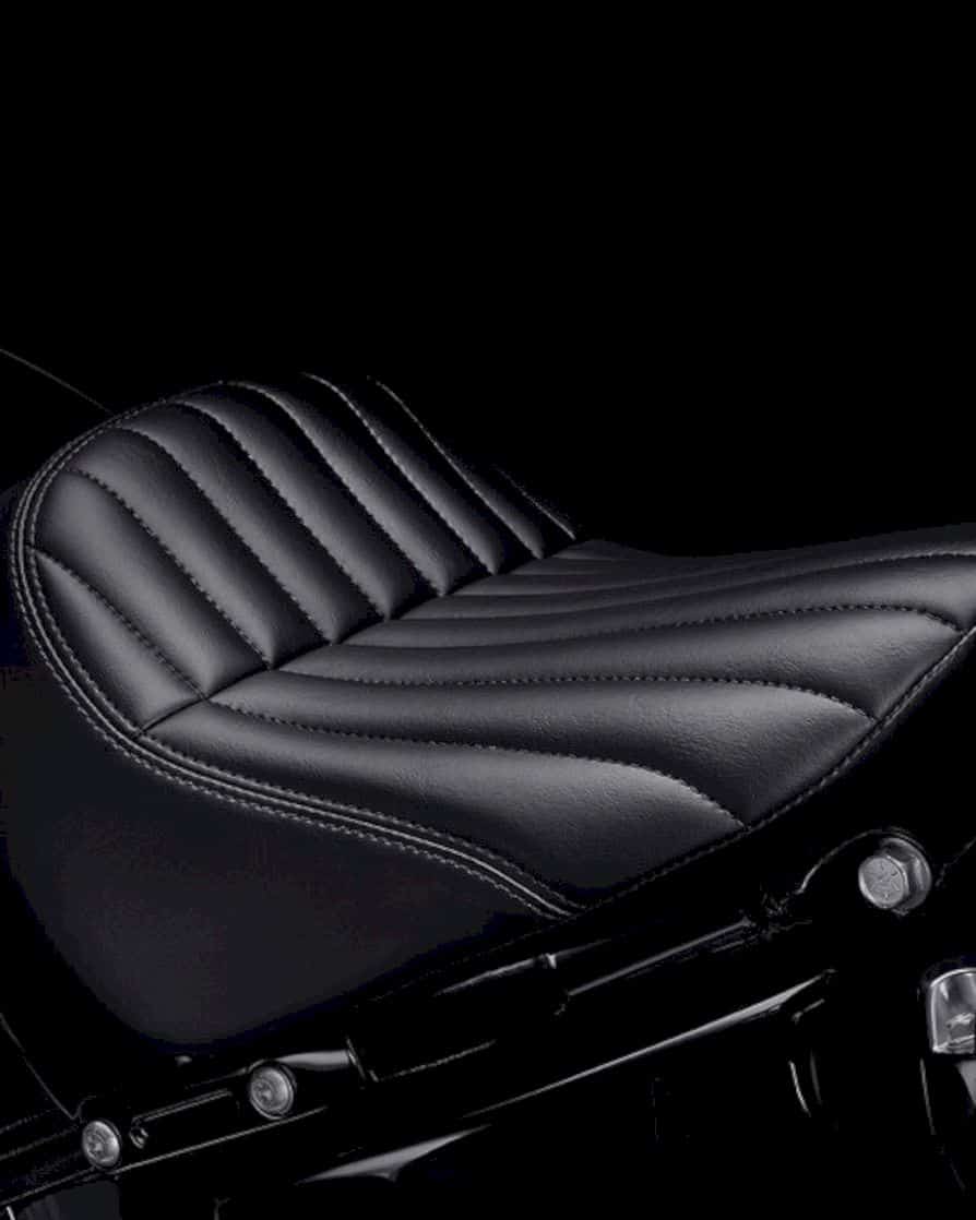 2020 Harley Davidson Softail Standard 5