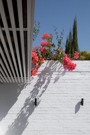 St Kilda Cottage House By Jost Architects 28