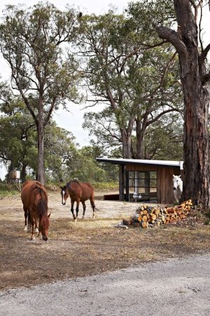 The Über Shed By Jost Architects 30