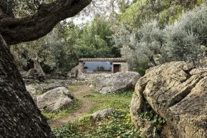 The Olive Houses By Mar Plus Ask 11