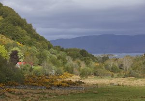 Fernaig Cottage By Hopkins Architects 6